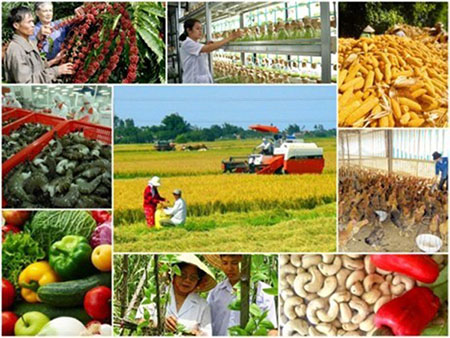 Nông nghiệp - Vietnam Sourcing